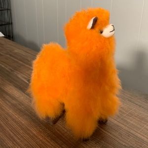 Cute Orange alpaca